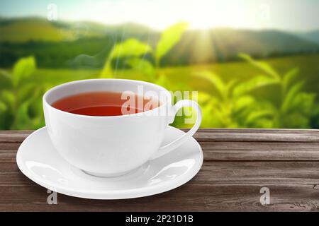 Eine Tasse heißer, frisch gebrühter Rooibos-Tee auf einem Holztisch im Freien Stockfoto
