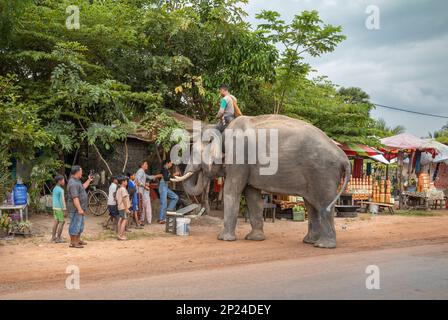 Ein kambodschanischer Mahout, der auf seinen Elefantenstopps sitzt, um die Dorfbewohner zu begrüßen und in Phumi Khna, Provinz Siem Reap, Kambodscha, Essensgeschenke zu erhalten. Stockfoto