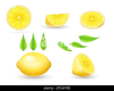 3D Zitronenscheibe, halb und ganz, grünes Blatt, Limonade Zutat. Fruchtsaft oder Ölspritzer, gelbe, frisch geschnittene Stücke, Naturgetränk. Natur Sommer gesunde Zitrusfrüchte. Vektor realistischer Zeichnungssatz Stock Vektor