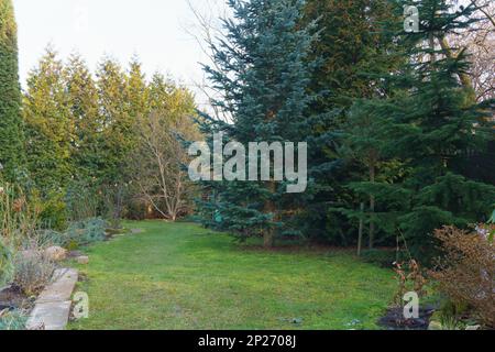 Pflanzen in einem Garten neben einem Haus Stockfoto