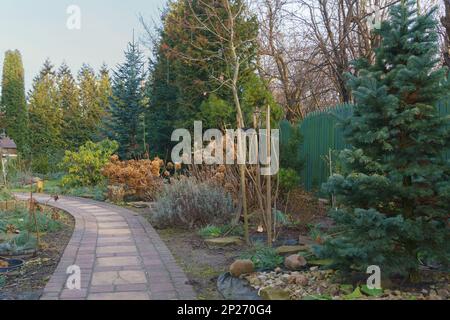 Pflanzen in einem Garten neben einem Haus Stockfoto