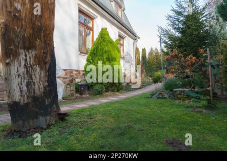 Pflanzen in einem Garten neben einem Haus Stockfoto