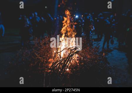 Orthodoxe Weihnachtsfeier in Montenegro und Serbien, Prozess der Verbrennung des Badnjak, Feuer mit Eichenholz und Zweig während Badnji dan, dem Chr Stockfoto