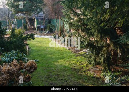 Pflanzen in einem Garten neben einem Haus Stockfoto