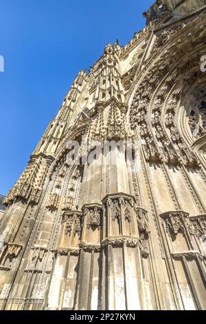 Steinbaumdetails am Eingangsbogen der Saint-Gatien-Kathedrale aus dem 13./16. Jahrhundert, Tours, Indre-et-Loire (37), Frankreich. Stockfoto