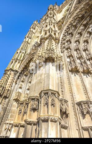 Steinbaumdetails am Eingangsbogen der Saint-Gatien-Kathedrale aus dem 13./16. Jahrhundert, Tours, Indre-et-Loire (37), Frankreich. Stockfoto