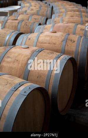 Reihen französischer und amerikanischer Eichenfässer mit trockenem Rotwein in Weinkellern der Weinregion Rioja, Spanien Stockfoto