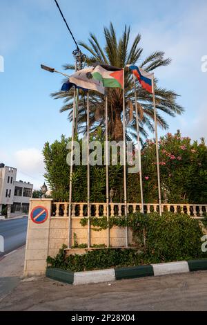 Ramallah, Ramallah und al-Bireh-Gouvernement, Palästina - 13. Juli 2022: Verschiedene Flaggen auf hohen Polen von Palmen in Ramallah Landscape Against Blue Sk Stockfoto