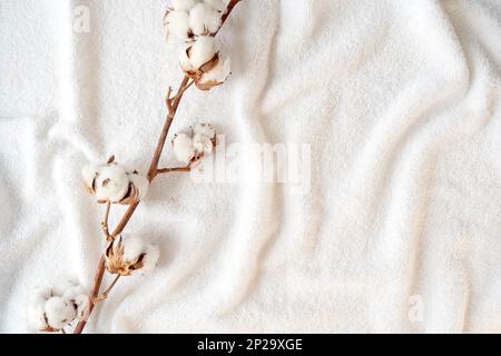 Getrockneter Baumwollzweig mit Blumen auf einem weichen, weißen, eleganten Handtuch, Platz für Text Stockfoto