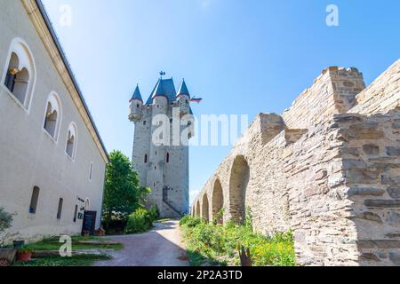 Nassau (Lahn): Schloss Nassau in Lahntal, Rheinland-Pfalz, Rheinland-Pfalz, Deutschland Stockfoto