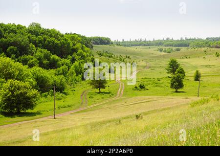 Ländliche Sommerlandschaft in Sumy, Ukraine. Eine gewundene, unbefestigte Straße zwischen grünen Hängen und Wald, die Perspektive rückt in die Ferne zurück. Stockfoto