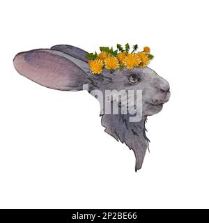 Süßes Kaninchen in einem Löwenzahn isoliert auf weißem Hintergrund. Aquarelle digitale Darstellung des Osterhasen. Der Bauernhase ist grau Stockfoto