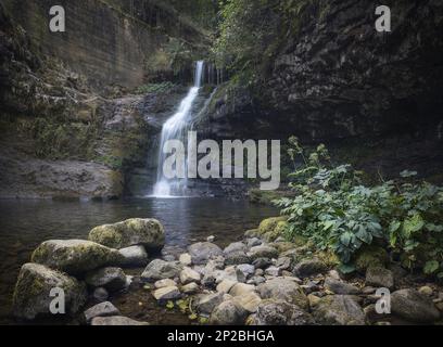 Die Schönheit der Natur wird bei dieser Aufnahme mit langer Belichtung zum Leben erweckt, mit der Bewegung eines Wasserfalls über Felsformationen, umgeben von üppigem Wald Stockfoto