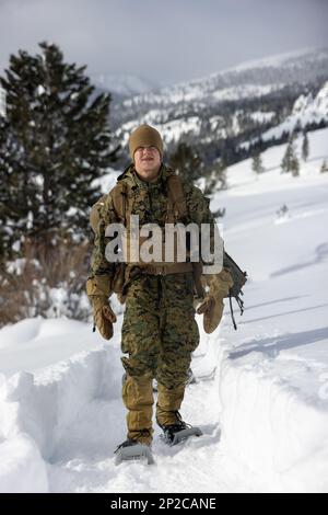 USA Marinekorps PFC. Johannes Vanrosmalen, ein Einheimischer und Maschinenschütze mit 2D. Bataillon, 8. Marine Regiment, 2D Marine Division, führt während der Mountain Warfare Training Übung 2-23 im Marine Corps Mountain Warfare Training Center, Bridgeport, Kalifornien, 17. Januar 2023 eine Schneeschuh- und Pionierwanderung durch. MTX bereitet die Einheiten auf das Überleben vor und führt im Winter längere Einsätze in bergigem Gelände durch. Stockfoto