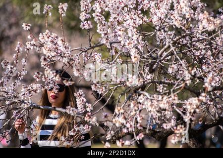 Madrid, Spanien. 04. März 2023. Eine Frau, die die Blüten eines Mandelbaums ansieht, der kürzlich im Park Quinta de los Molinos blüht. Mit mehr als 1500 Mandelbäumen ist der Park am Ende des Winters und Anfang des Frühlings sehr beliebt, wenn viele Einheimische und Touristen die Gelegenheit nutzen, die blühenden Bäume zu sehen. Kredit: Marcos del Mazo/Alamy Live News Stockfoto