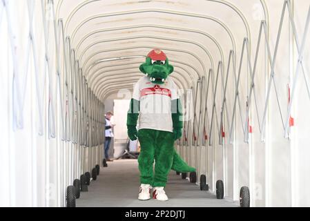 Stuttgart, Deutschland. 04. März 2023. Fußball: Bundesliga, VfB Stuttgart - Bayern München, Spieltag 23, in der Mercedes-Benz Arena. Stuttgarts Maskottchen Fritzle läuft durch den Spielertunnel. Kredit: Marijan Murat/dpa - WICHTIGER HINWEIS: Gemäß den Anforderungen der DFL Deutsche Fußball Liga und des DFB Deutscher Fußball-Bund ist es verboten, im Stadion aufgenommene Fotos und/oder das Spiel in Form von Sequenzbildern und/oder videoähnlichen Fotoserien zu verwenden oder verwenden zu lassen./dpa/Alamy Live News Stockfoto