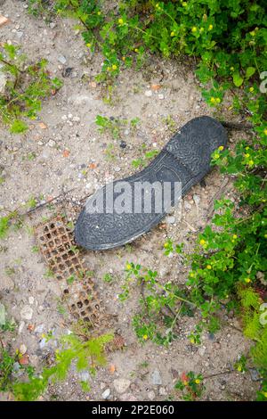 Die alte schwarze Gummisohle liegt auf dem Boden. Ökologiekonzept. Stockfoto