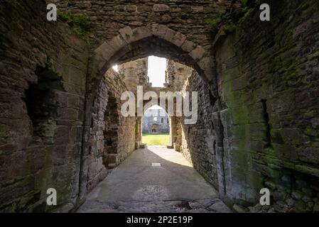 Torbogen im North Gatehouse von Beaumaris Castle, Anglesey, Nordwales. Stockfoto