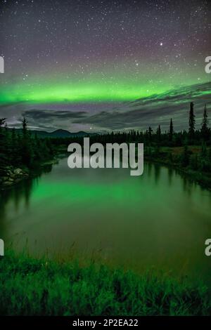 Nordlichter in Yukon, Kanada. Stockfoto