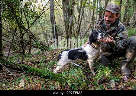 Trüffeljäger Daniele Guerrieri und sein Hund Pato fanden den ersten weißen Trüffel des Tages in den Wäldern bei Volterra, Toskana, Italien Stockfoto