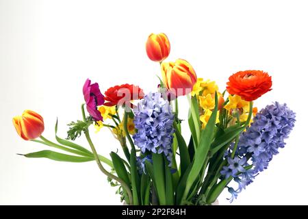 Blumenstrauß - Hyazinthen, Narzissen, Tulpen und Rosen Stockfoto