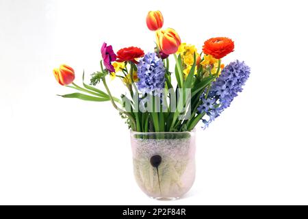 Blumenstrauß - Hyazinthen, Narzissen, Tulpen und Rosen Stockfoto