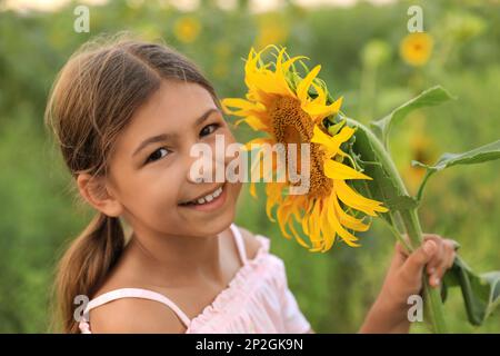 Süßes kleines Mädchen mit blühenden Sonnenblumen auf dem Feld. Das Kind verbringt Zeit in der Natur Stockfoto