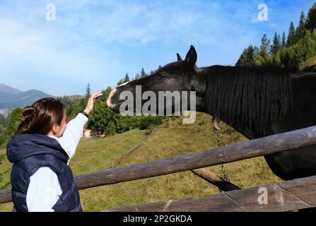 Frau streichelte schwarzes Pferd in der Nähe eines Holzzauns in den Bergen. Wunderschönes Haustier Stockfoto