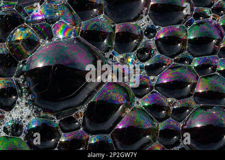 Nahaufnahme, Makroaufnahme einer Seifenblase, mehrfarbiger Regenbogen mit gelben, violetten, rosa, blauen und grünen Farben auf schwarzem Hintergrund. Stockfoto
