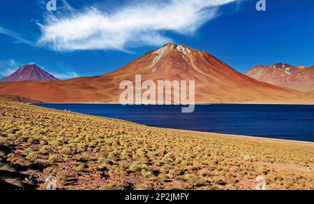 Überwältigende wilde Wüstenlandschaft, dunkelblauer See, rote Vulkangipfel, sandige Gegend mit trockenem Gras - Chile, Lagune von Miscanti Stockfoto