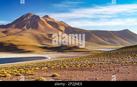 Wunderschöne trockene, wilde Landschaft, zwei Seen in den anden, hohe Ebenen - Laguna Miniques und Miscanti, Atacama Wüste, Chile Stockfoto