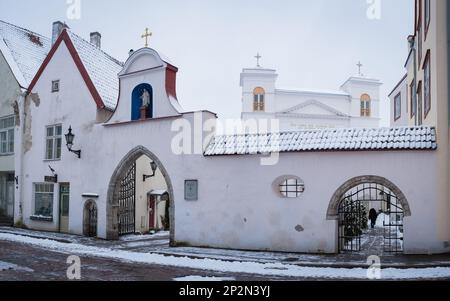 Tallinn, Estland - 02.19.2023: Panoramablick auf St. Peter und St. Paul's Cathedral (estnisch: Peeter-Pauli Katedral). Stockfoto