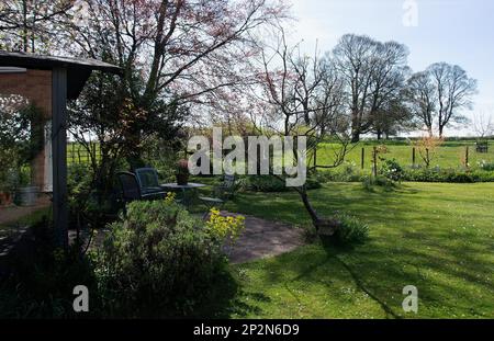 Frühlingsgarten im ländlichen Lincolnshire