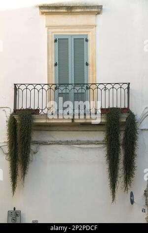 Galatina, Italien. Kleiner Balkon mit langen hängenden Pflanzen. Stockfoto