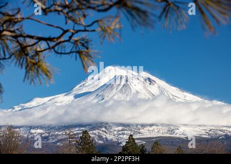 Mount Shasta in Nordkalifornien ist ein riesiger schneebedeckter Vulkan Stockfoto