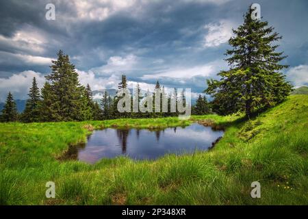Regnerischer Tag mit spektakulären dunklen Wolken und einem wunderschönen kleinen See auf der grünen Waldlade Stockfoto