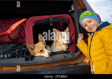 Müde Hunde sitzen in der Hundehütte im Kofferraum des Autos. Polnische Berge Stockfoto