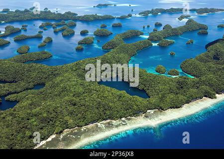 Luftaufnahme der kleinen tropischen Inselgruppe viele kleine tropische grüne überwucherte Inseln, im mittleren Quallen-Meer von Palau, im Vordergrund Stockfoto