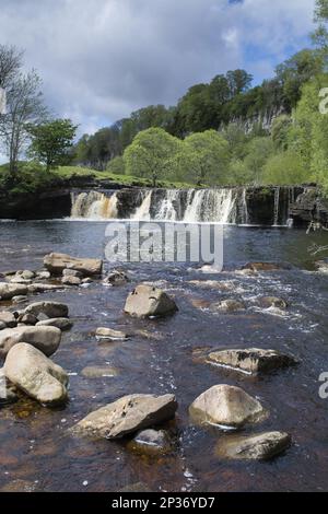 Blick auf den Fluss und den Wasserfall unter den Kalksteinklippen, Wain Wath Force, River Swale, in der Nähe von Keld, Swaledale, Yorkshire Dales N. P. North Yorkshire Stockfoto