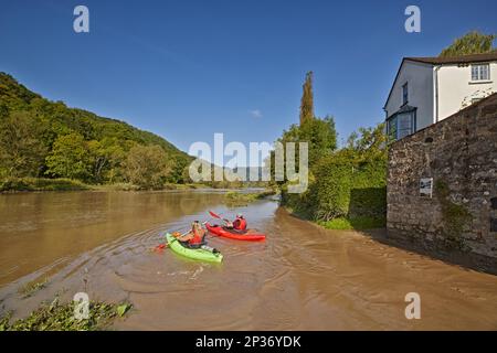 Kajakfahrer auf einem Fluss überflutet bei Flut, Brockweir, River Wye, Forest of Dean, Gloucestershire, England, Vereinigtes Königreich Stockfoto