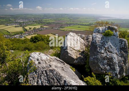 Blick in Richtung Carnforth und Morecambe Bay vom Gipfel eines Kalksteinhügels, Warton Crag, Lancashire, England, Großbritannien Stockfoto