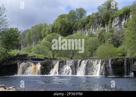 Blick auf den Fluss und den Wasserfall unter den Kalksteinklippen, Wain Wath Force, River Swale, in der Nähe von Keld, Swaledale, Yorkshire Dales N. P. North Yorkshire Stockfoto