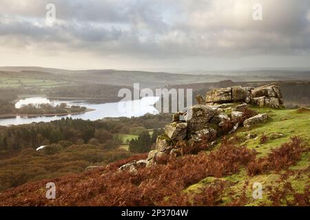 Blick über das Moorland zum Stausee bei Sonnenaufgang, Blick von unterhalb von Leather Tor, Burrator Reservoir, Dartmoor N.P., Dartmoor, Devon, England Stockfoto