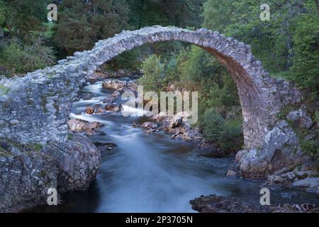 Old Packhorse Bridge über den Fluss in der Dämmerung, River Dulnain, Carrbridge, Badenoch und Strathspey, Highlands, Schottland, Vereinigtes Königreich Stockfoto