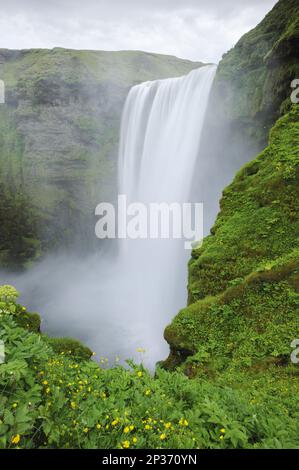 Blick auf den Wasserfall, der über die Klippen fließt, Skogafoss, Skoga River, Island Stockfoto