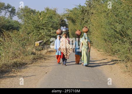 Indische Mädchen mit Wasserbehältern auf dem Kopf, nahe Bharatpur, Rajasthan, Indien Stockfoto