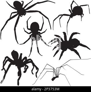 Spider-Vektor-Silhouetten. Mehrschichtig. Vollständig bearbeitbar Stock Vektor