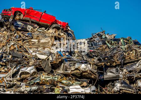 Auf einem Schrottplatz befindet sich ein rotes Auto auf einem chaotischen Haufen verdichteter und zerbrochener Autos, was die Bedeutung von Fahrzeugrecycling und Abfallentsorgung widerspiegelt. Stockfoto