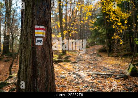 Bezeichnung für Touristenpfade. Rot und Gelb. Polnische Berge Stockfoto