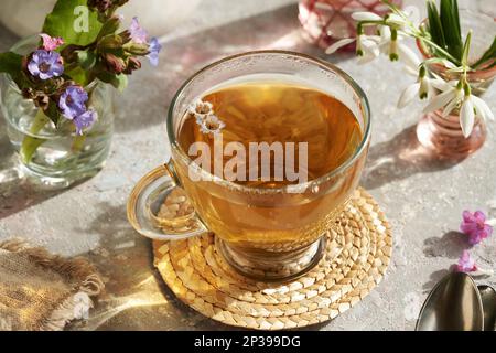 Eine Tasse Lungenkraut oder Pulmonaria Kräutertee im Frühling, mit Schneetropfen im Hintergrund Stockfoto